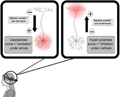 Preclinical to Clinical Translation of Studies of Transcranial Direct-Current Stimulation in the Treatment of Epilepsy: A Systematic Review